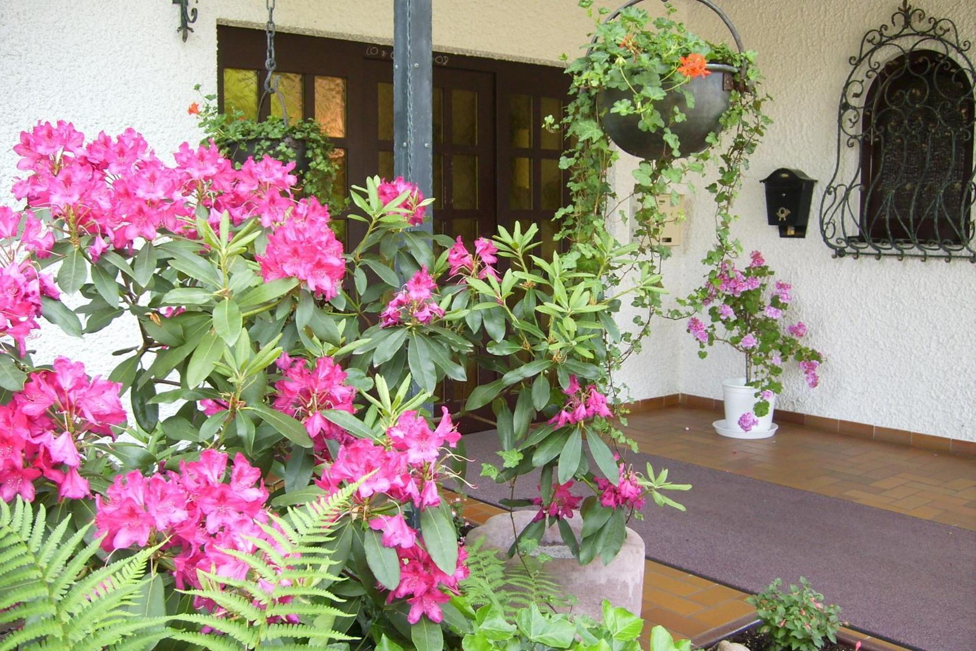 Hotel Muehlenthal Gmbh Schwalbach Ngoại thất bức ảnh